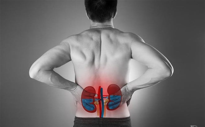 vị trí vùng thận