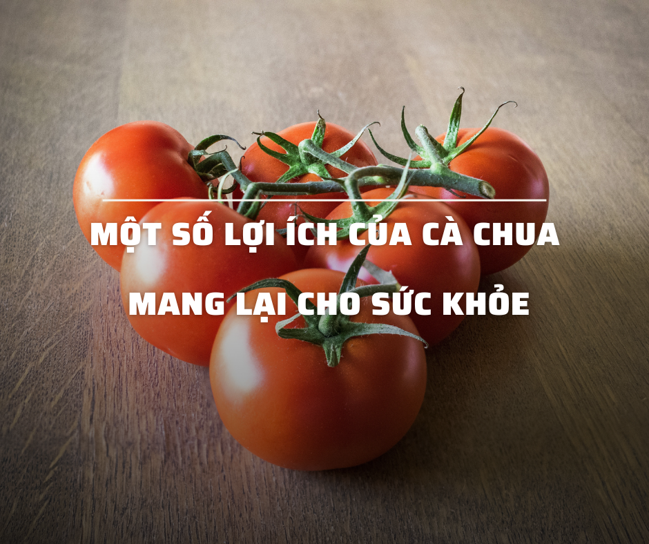 Một Số Lợi Ích Của Cà Chua Mang Lại Cho Sức Khỏe 1 Một Số Lợi Ích Của Cà Chua Mang Lại Cho Sức Khỏe